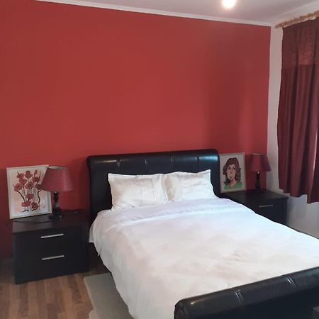 Apartament Cu 3 Camere La Poala Muntilor Fagaras Victoria  Exterior photo