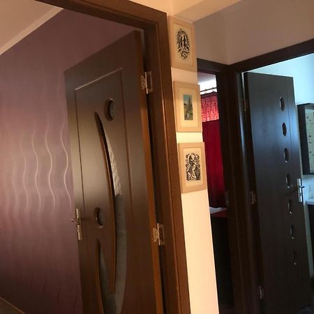 Apartament Cu 3 Camere La Poala Muntilor Fagaras Victoria  Exterior photo
