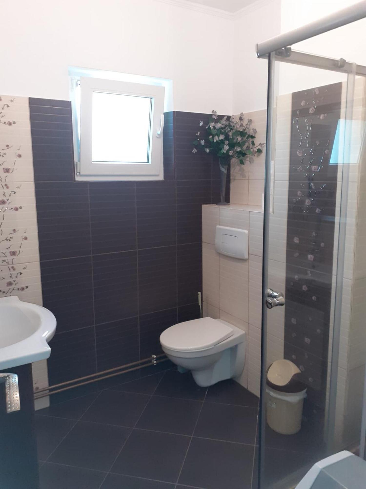 Apartament Cu 3 Camere La Poala Muntilor Fagaras Victoria  Exterior photo