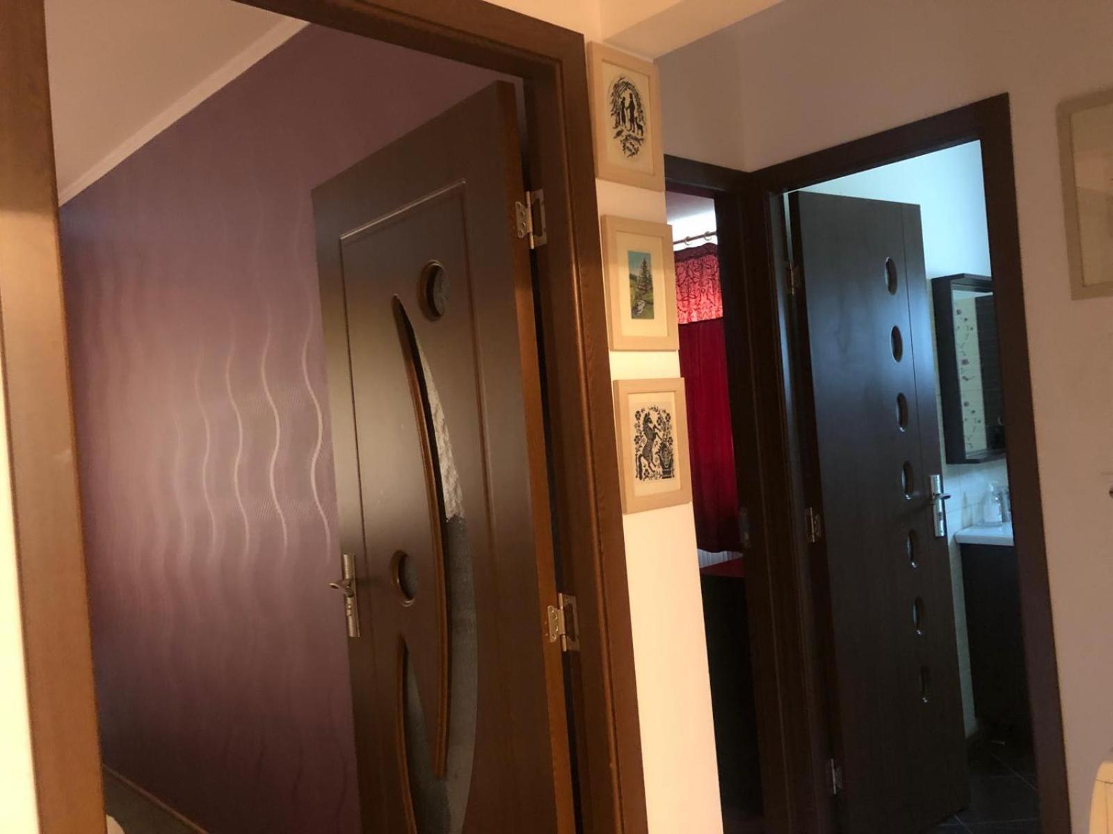 Apartament Cu 3 Camere La Poala Muntilor Fagaras Victoria  Exterior photo