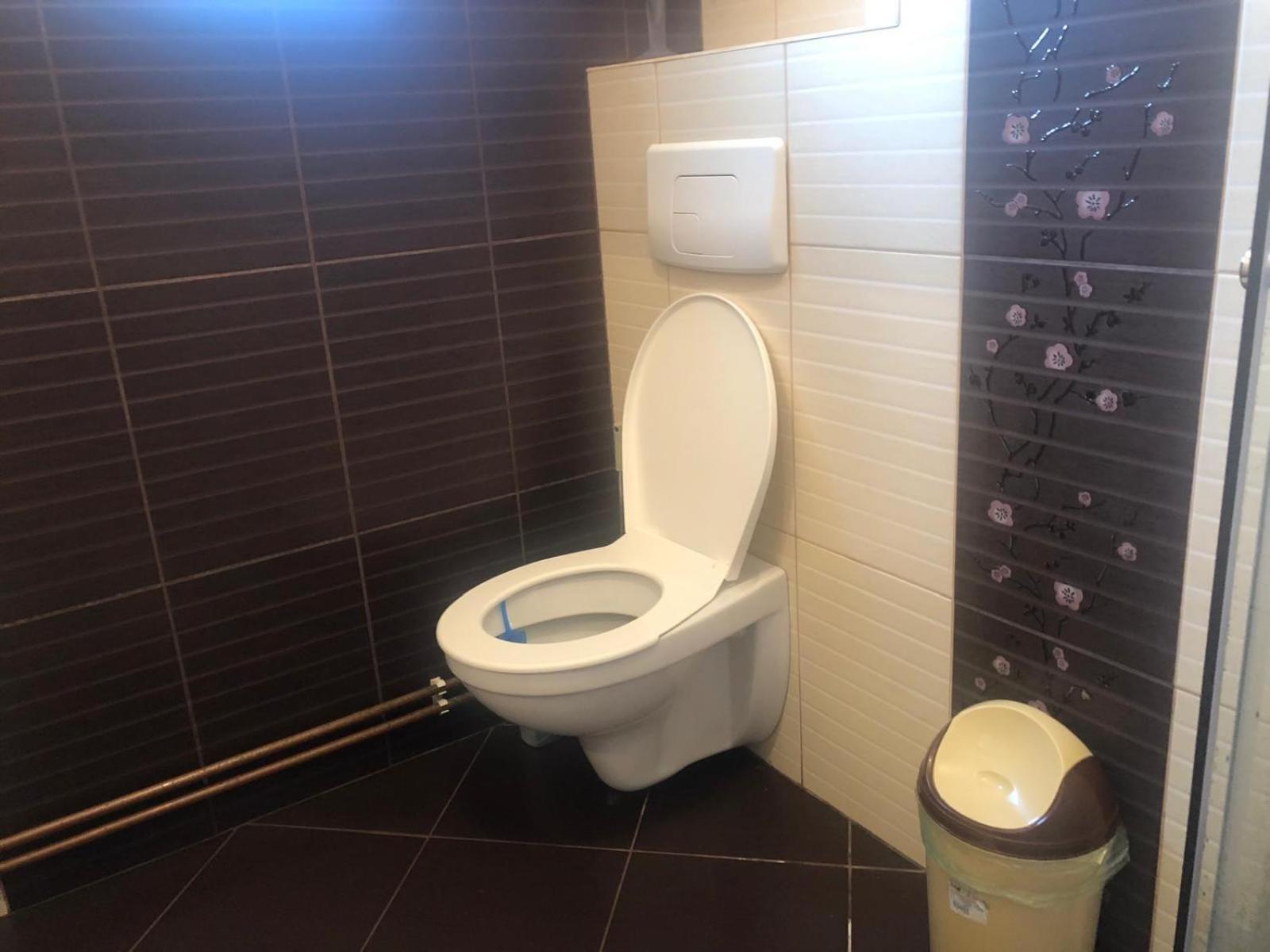 Apartament Cu 3 Camere La Poala Muntilor Fagaras Victoria  Exterior photo